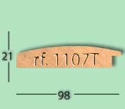 Perfil 1107T