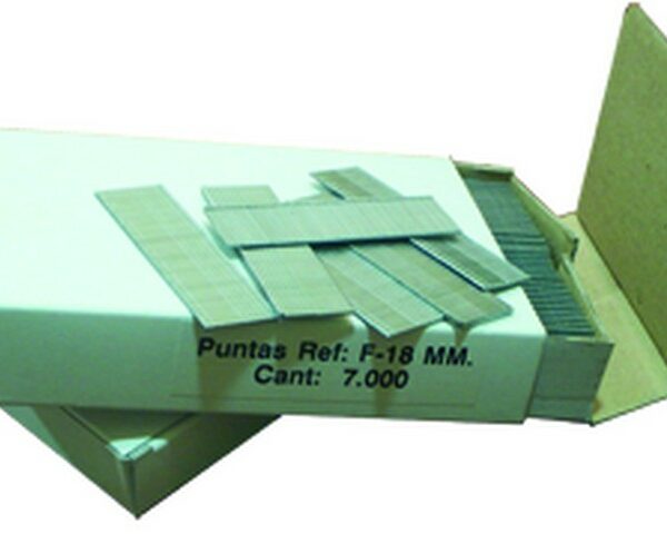 puntaf18